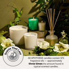 APOTHEKE Verdant Garden notes close-up suggests fig, jasmine, coconut