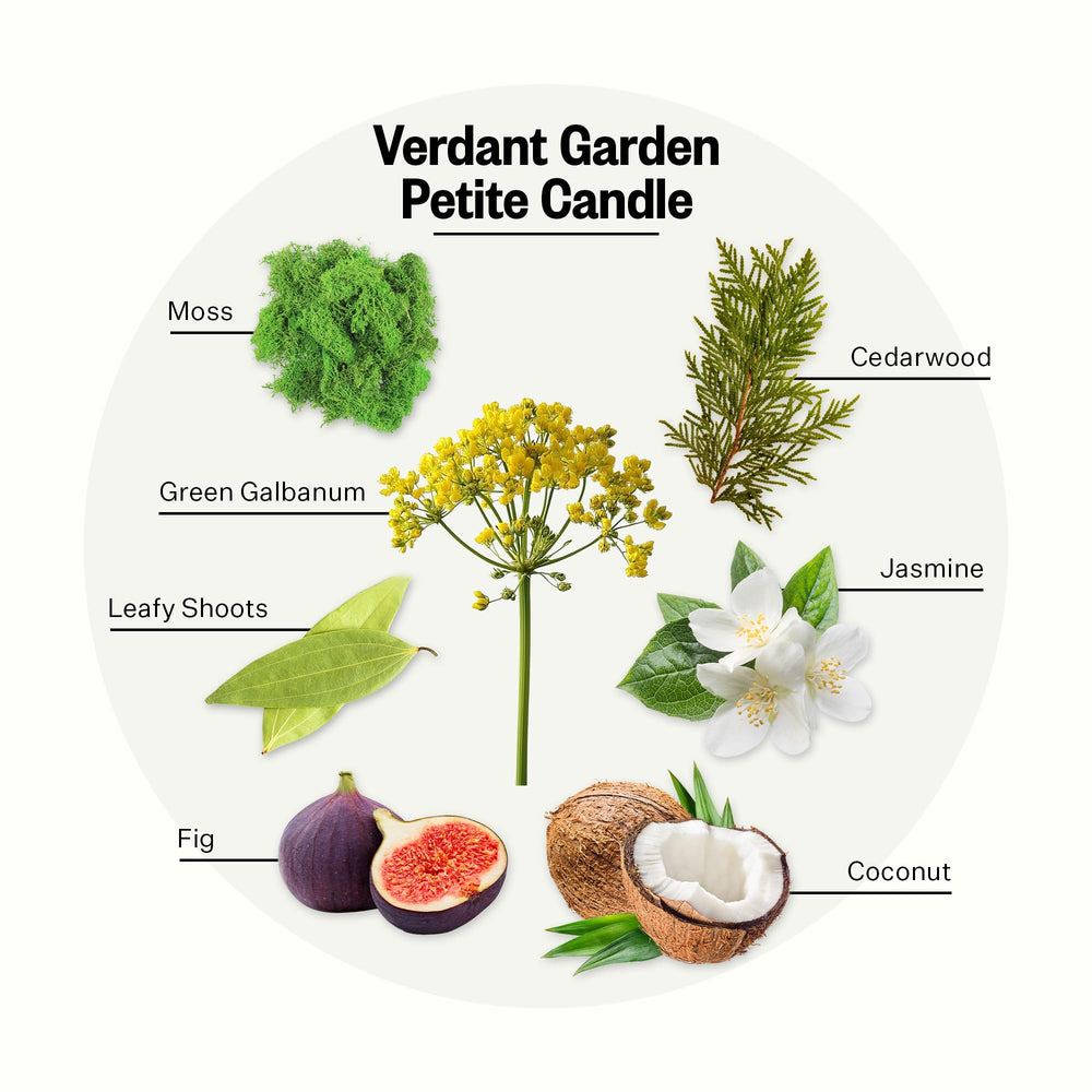 APOTHEKE Verdant Garden wax blend closeup shows soy wax for a clean burn.