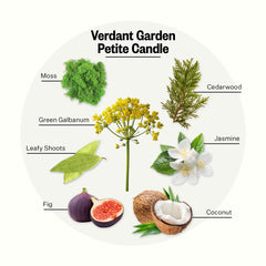 APOTHEKE Verdant Garden wax blend closeup shows soy wax for a clean burn.