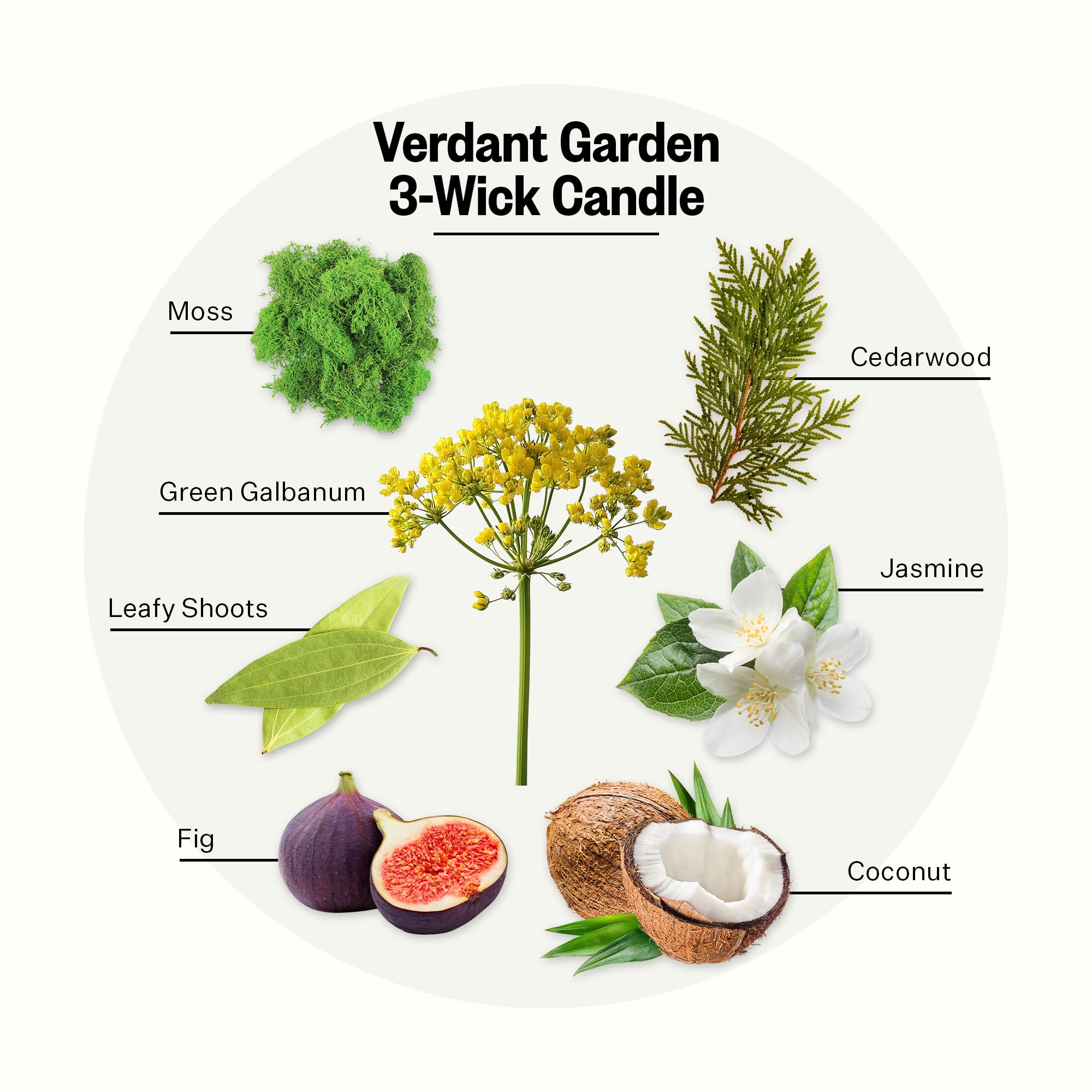Close-up of APOTHEKE Verdant Garden wax and wicks highlighting premium oils