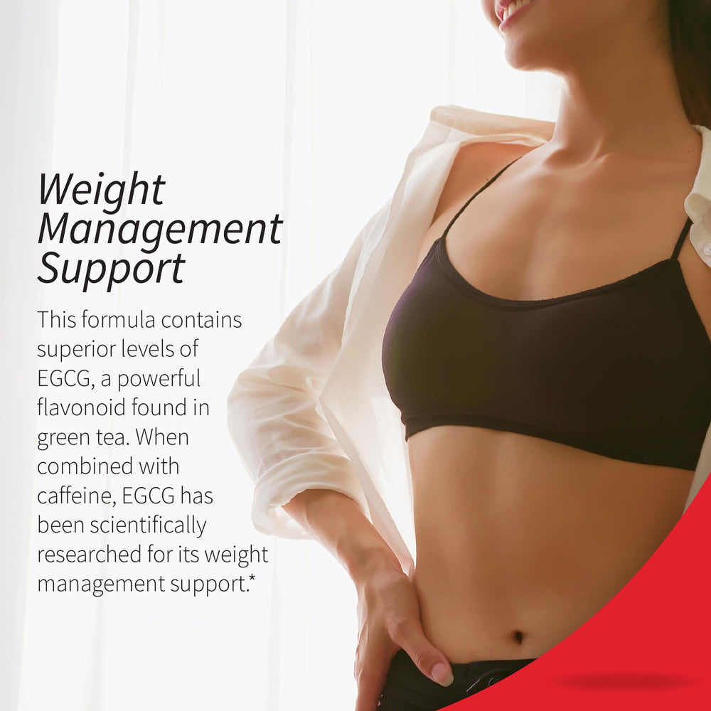 Applied Nutrition Green Tea Fat Burner ingredient label highlighting EGCG content and antioxidant potential.