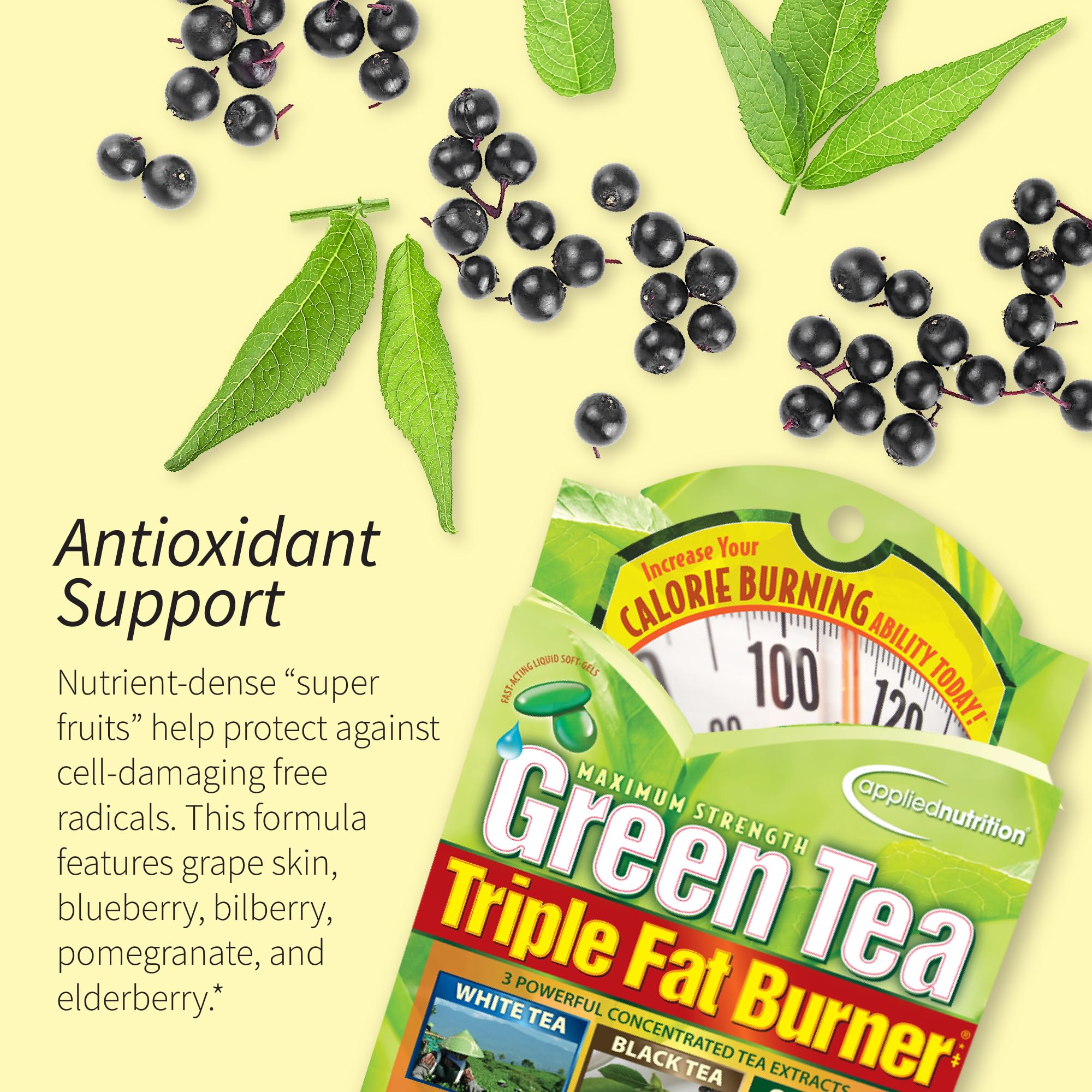 Applied Nutrition Vitality Boost Botanical Matrix visuals highlighting energizing botanicals.