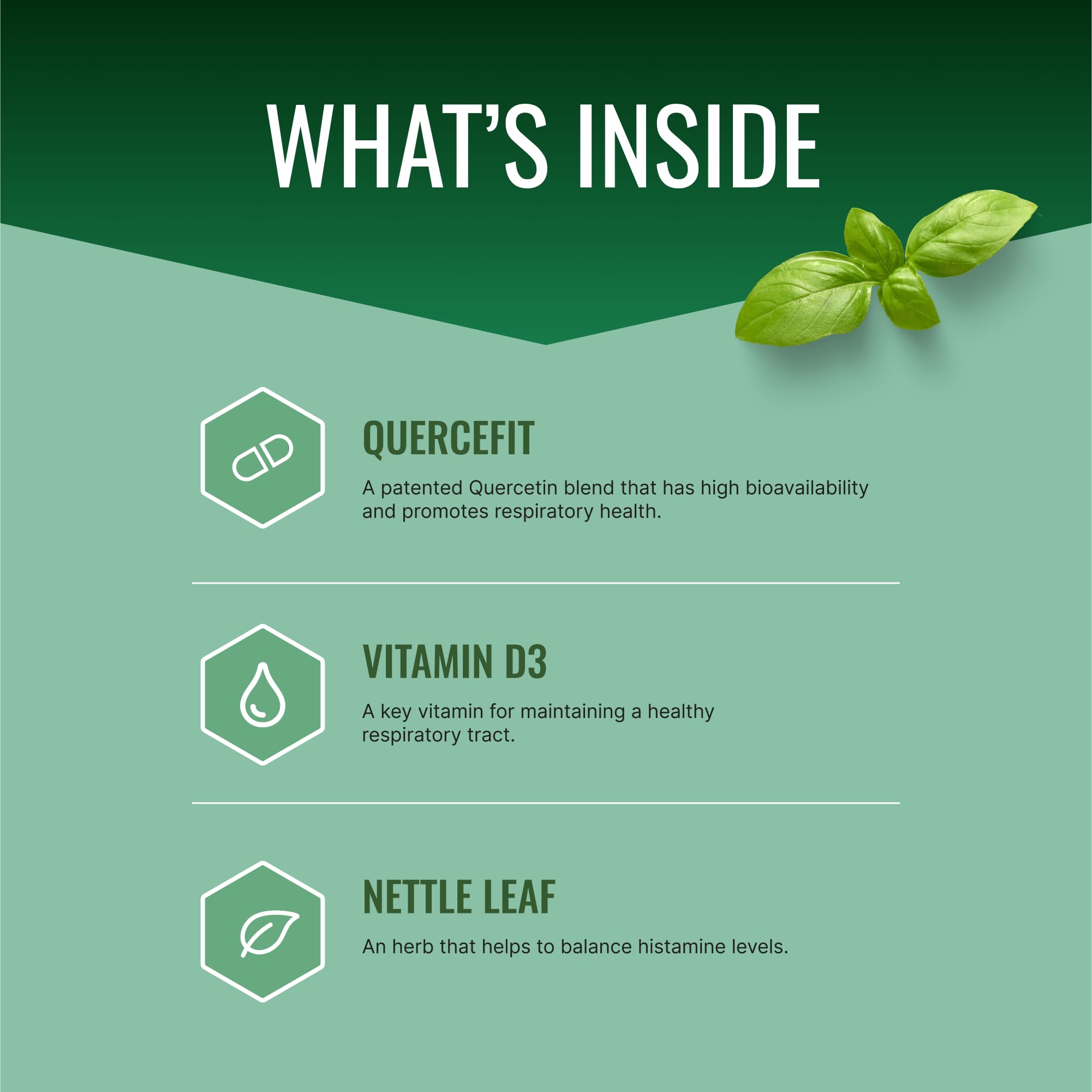 Approved Science Allergysyl label back detailing ingredients and directions