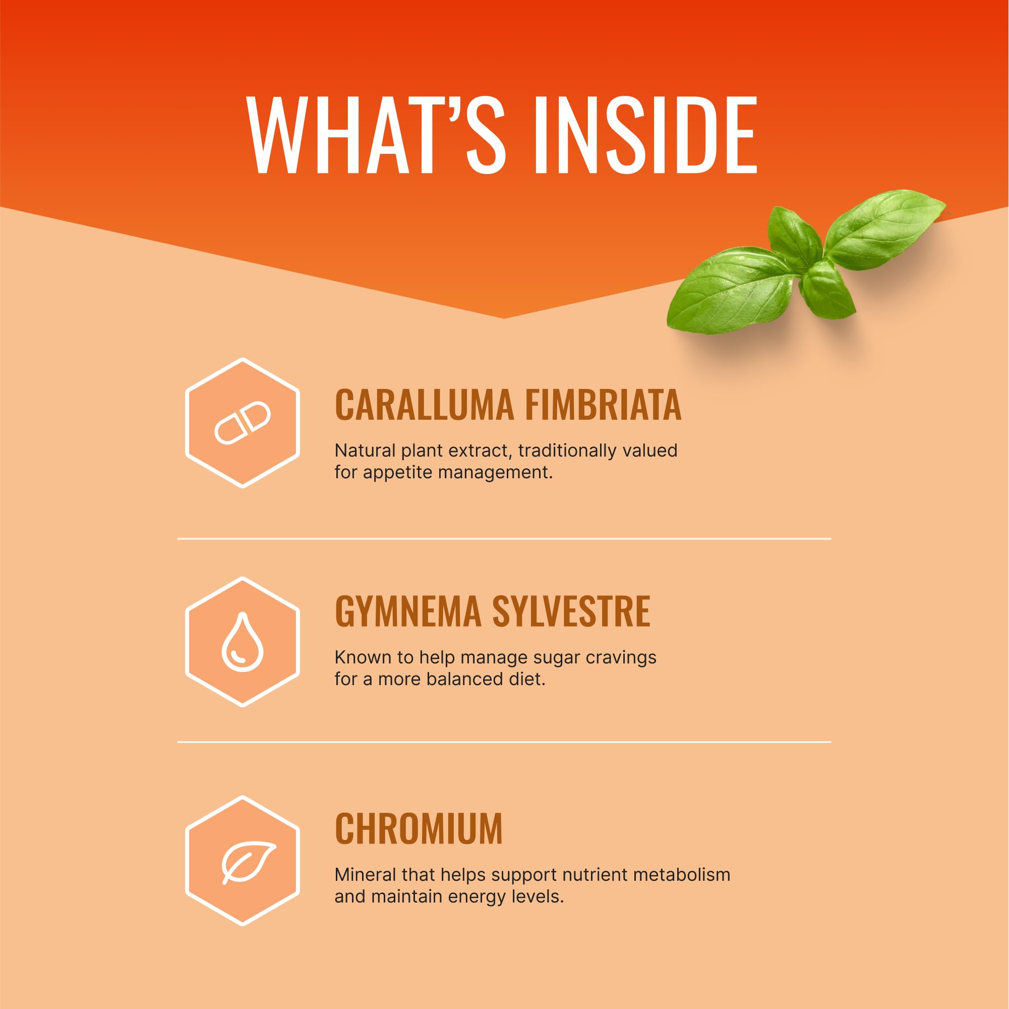 Approved Science Appetite Suppressant capsules closeup showing Gymnema Cayenne and Chromium for mindful eating