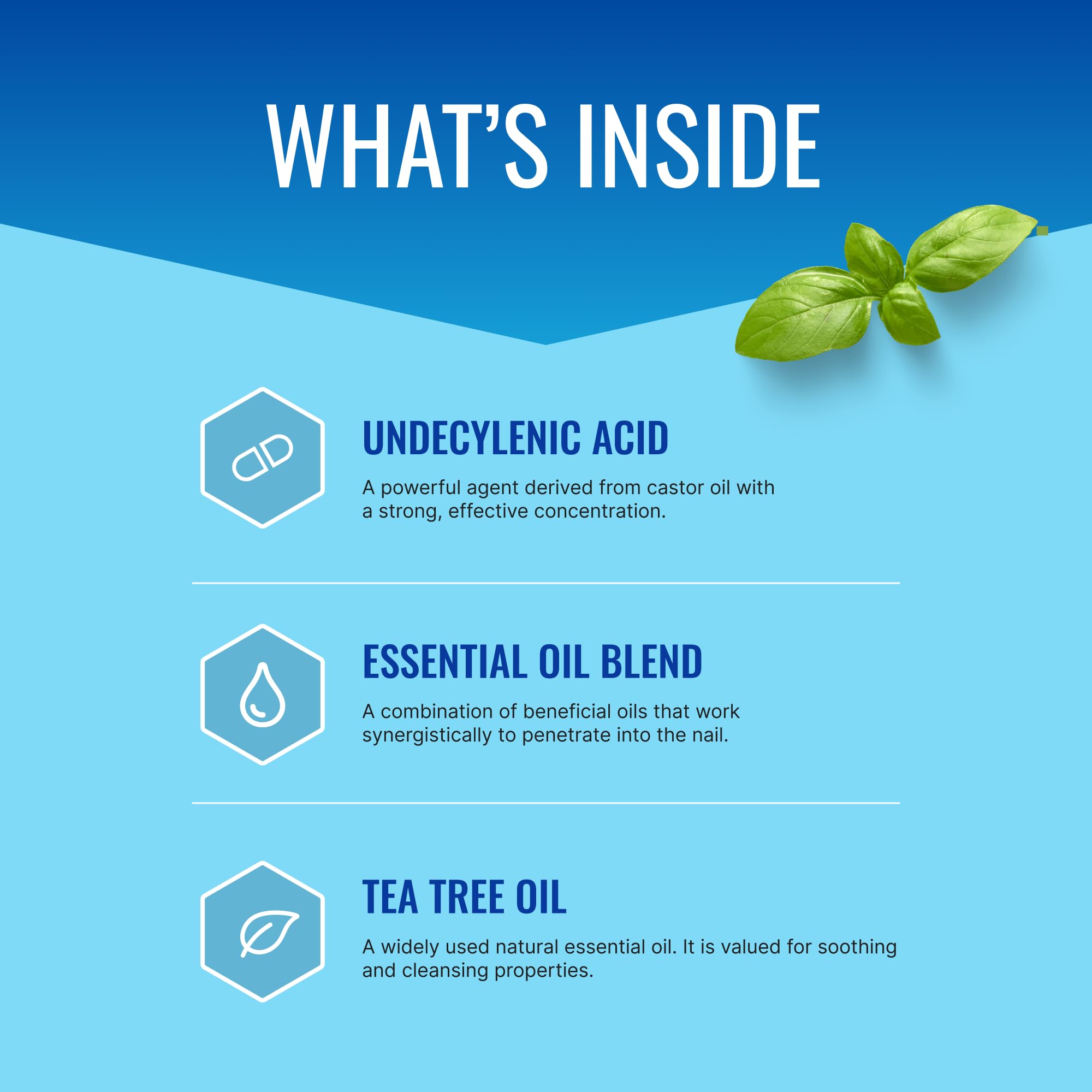 Approved Science Fungix Chia oil blend visual emphasizing botanical infusion.