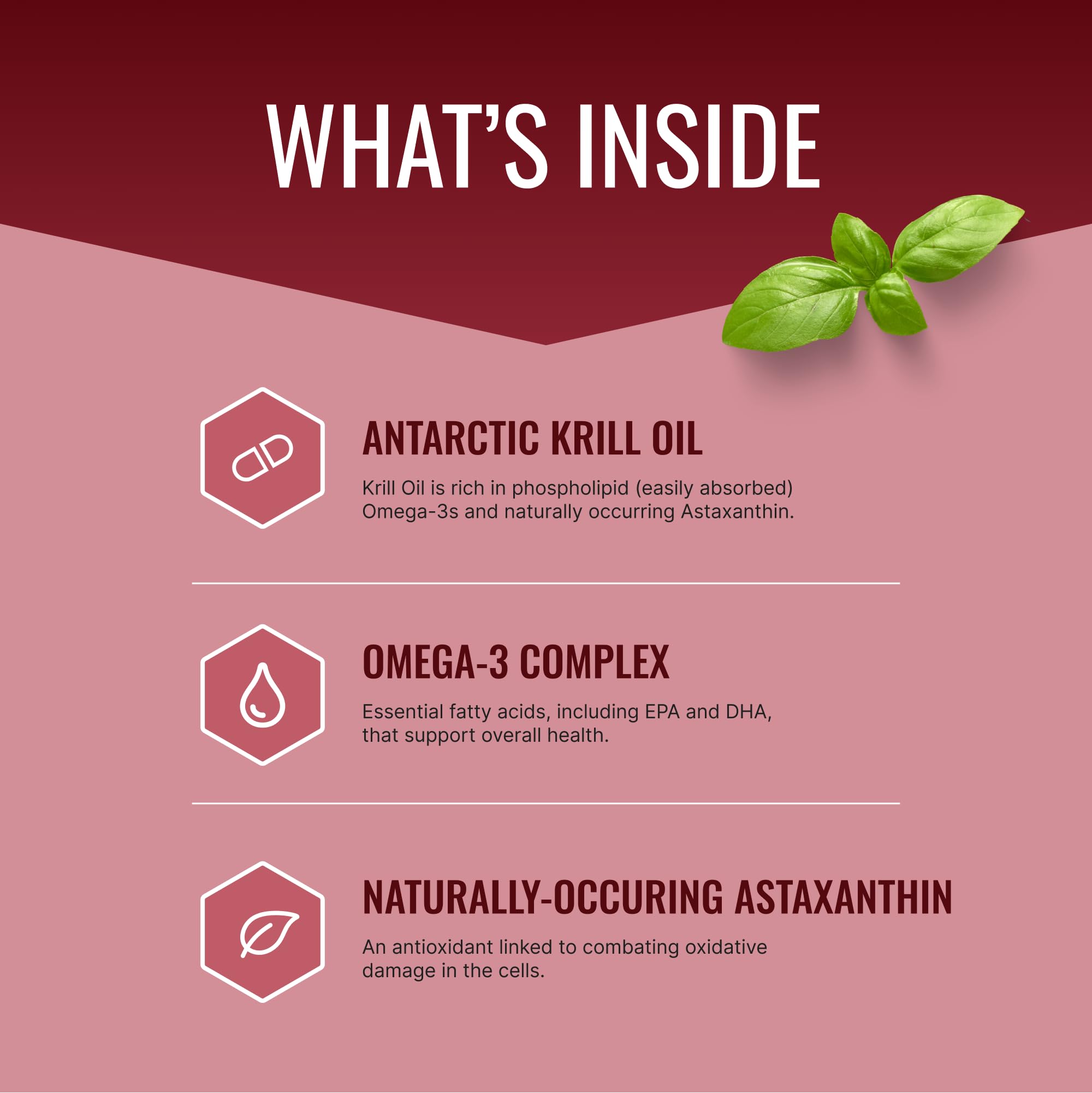 Approved Science Krill Oil capsules ready to take, delivering EPA and DHA for daily omega-3 intake.