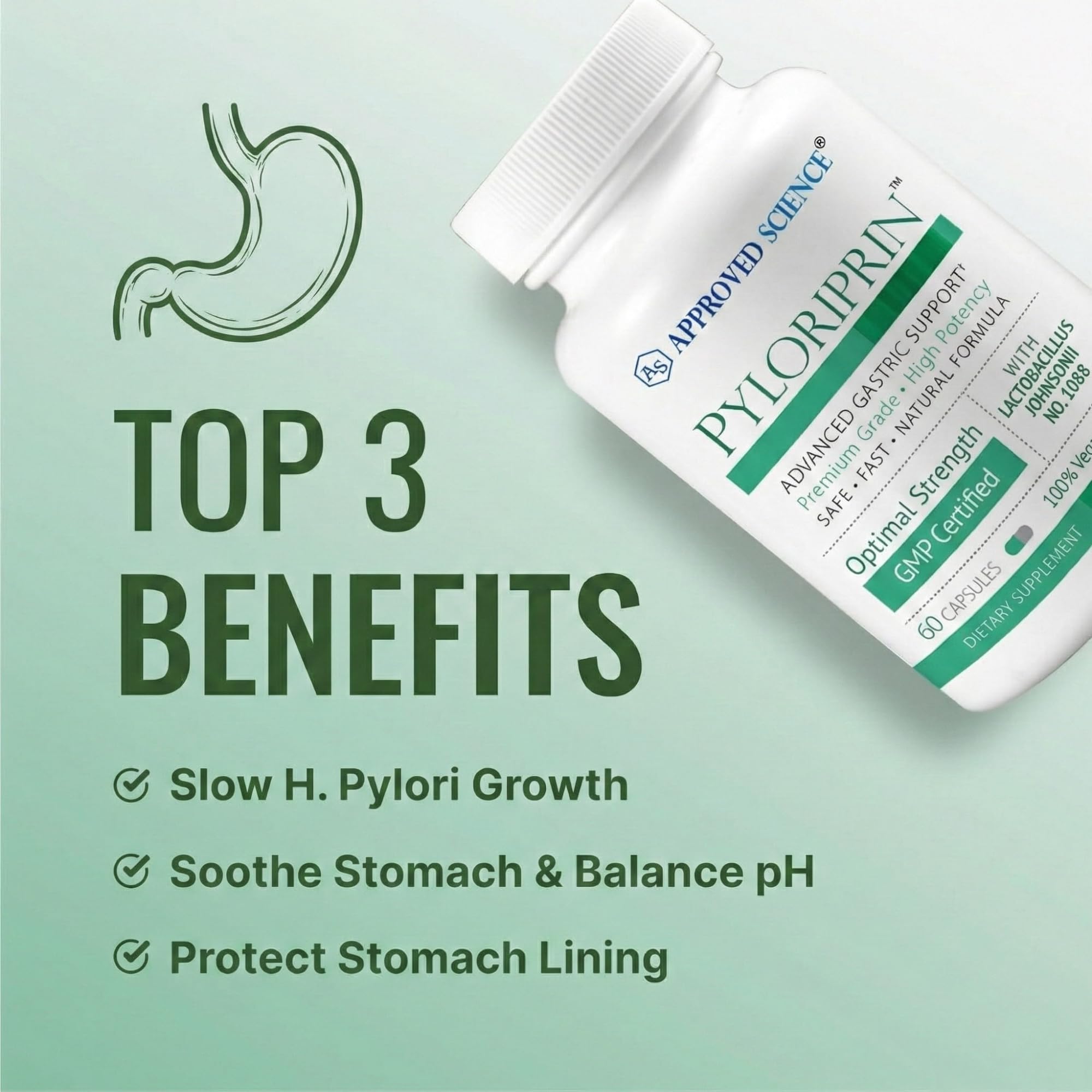 Deglycyrrhized licorice extract in Pyloriprin supports stomach wellness.