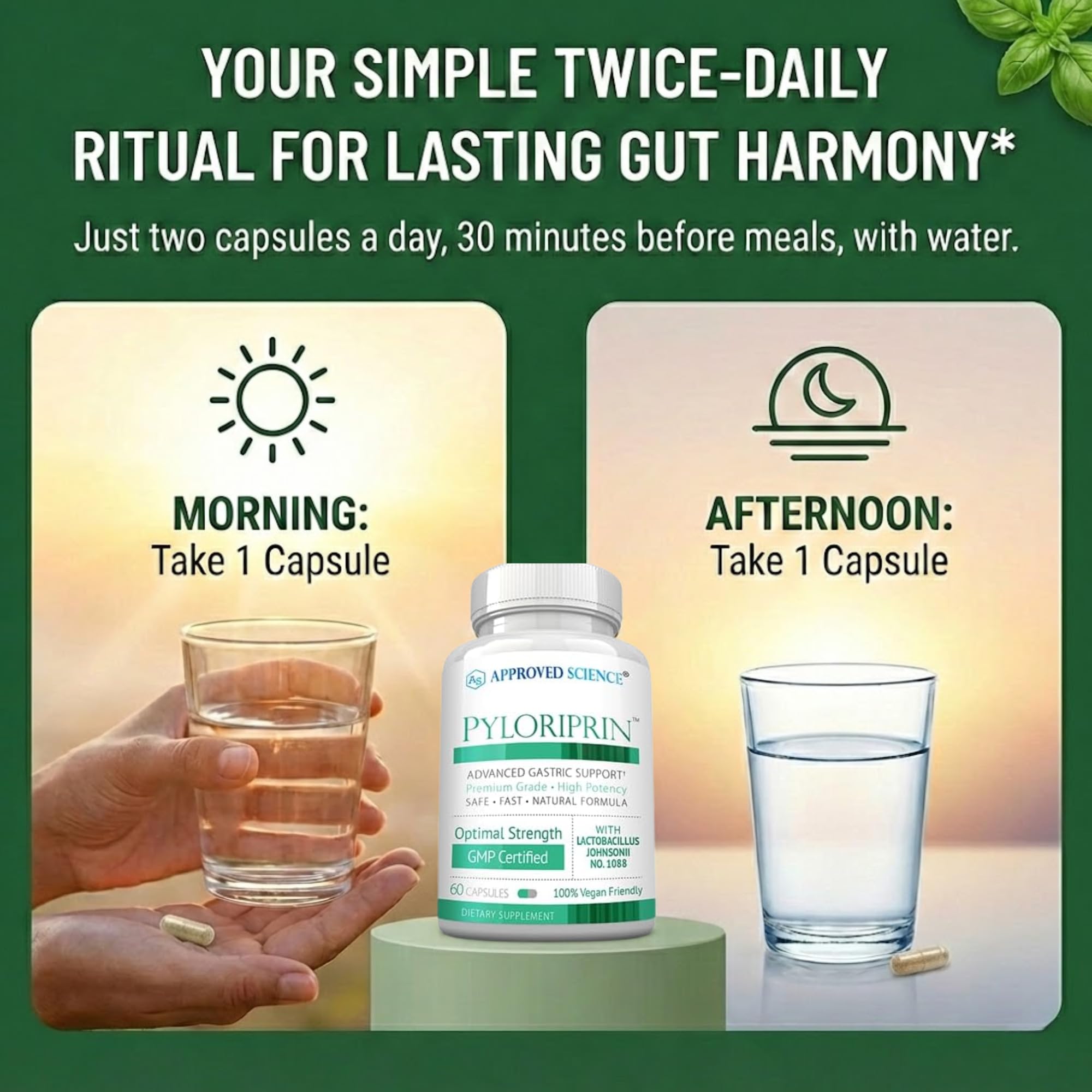 Vegan capsules of Pyloriprin for ethical, allergen-friendly use.