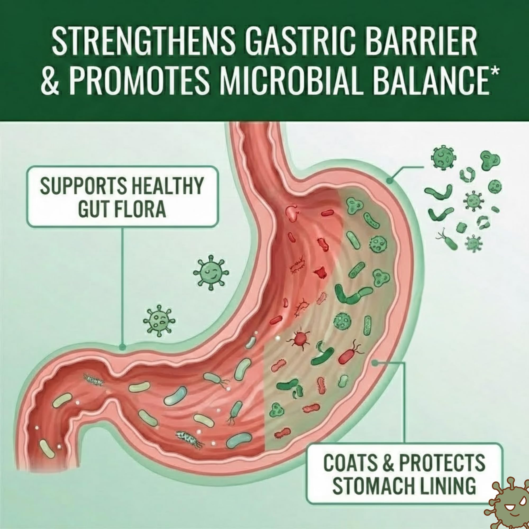 Zinc L-Carnosine in Pyloriprin supports stomach lining health.
