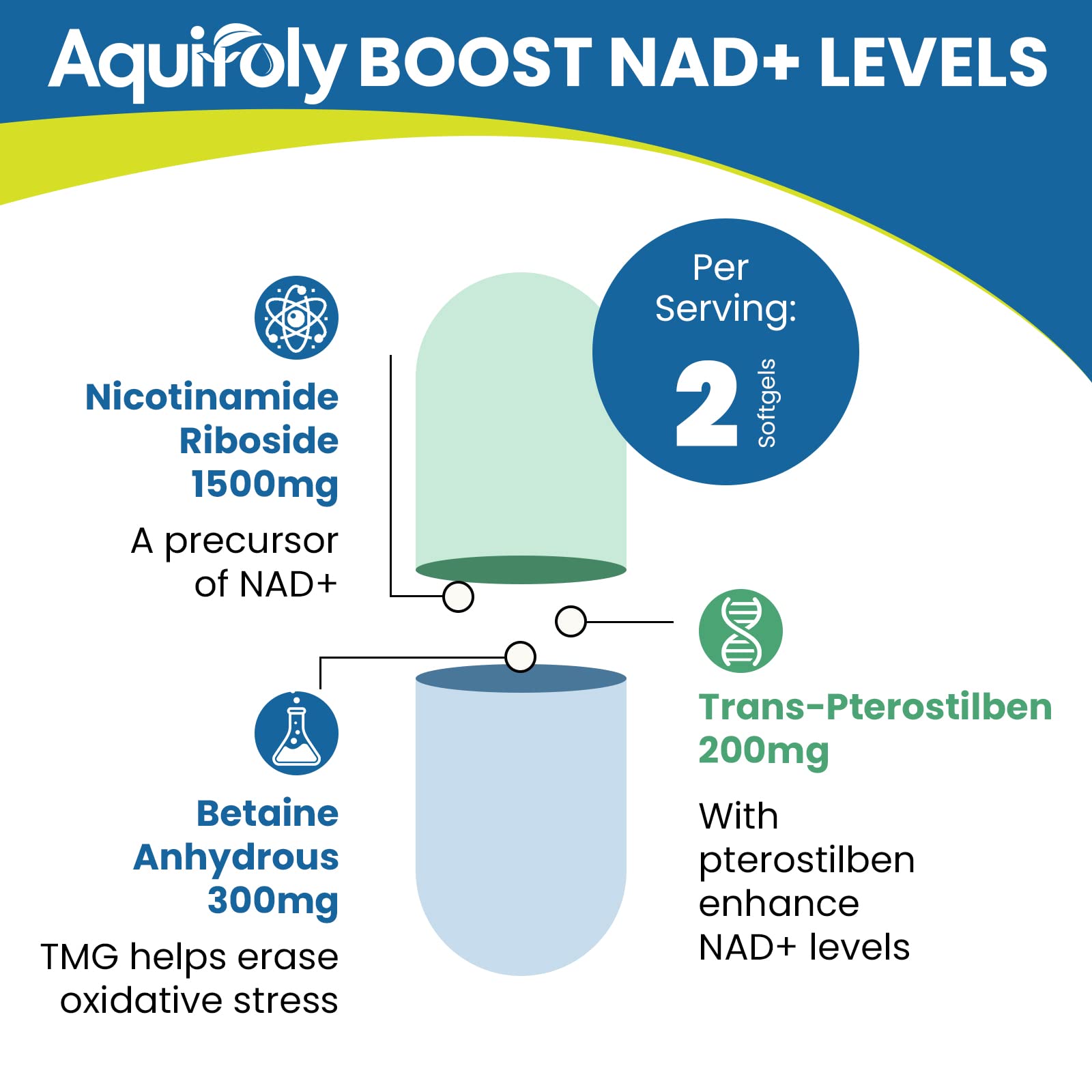 Aquifoly nicotinamide riboside capsules with TMG label close-up emphasizing methylation support.