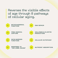 Close-up of Aramore NAD+ capsules highlighting compact daily capsules.