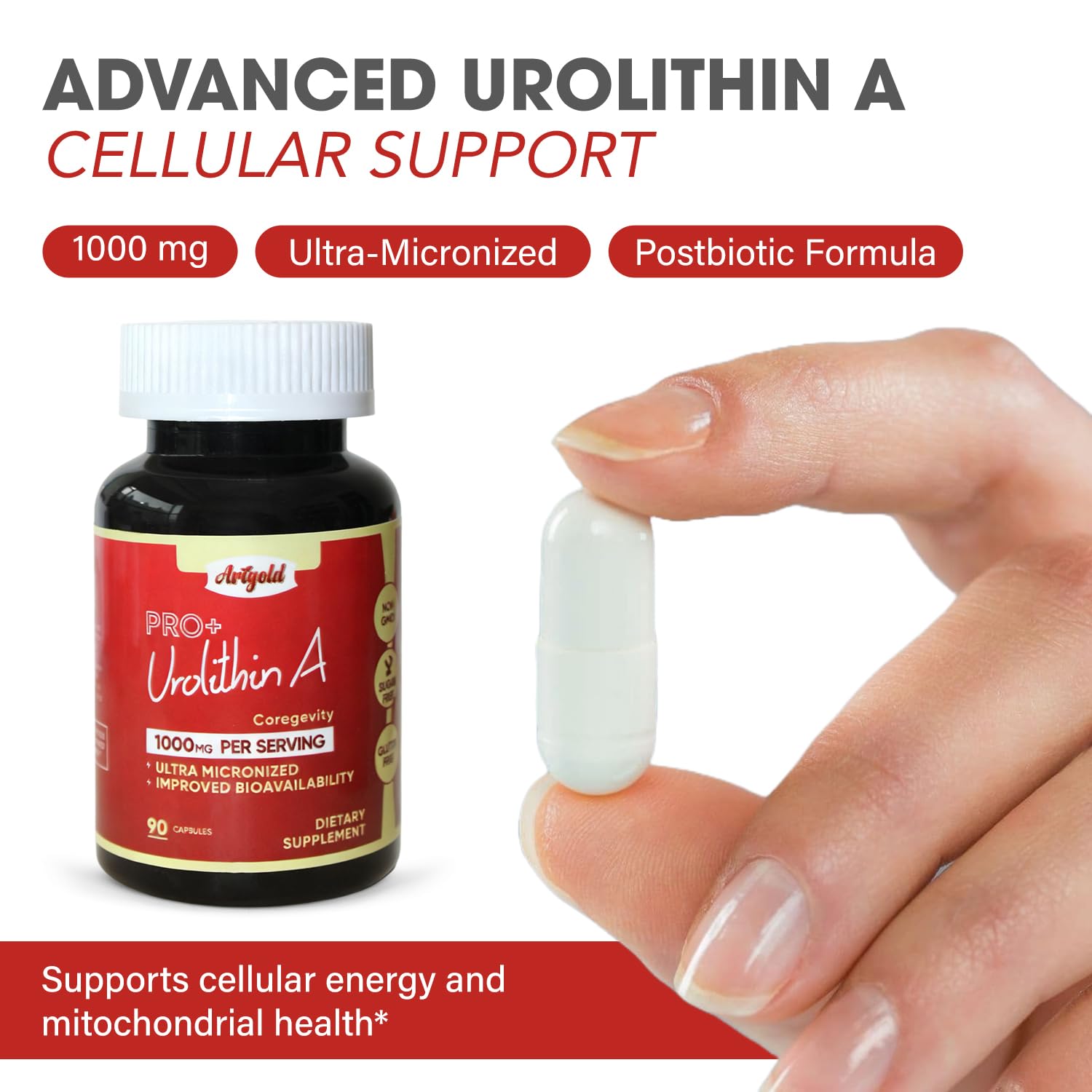 Arigold Urolithin A Pro daily wellness capsules for consistent use