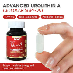 Arigold Urolithin A Pro daily wellness capsules for consistent use