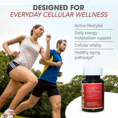 Arigold Urolithin A Pro promoting mitochondrial renewal and energy metabolism