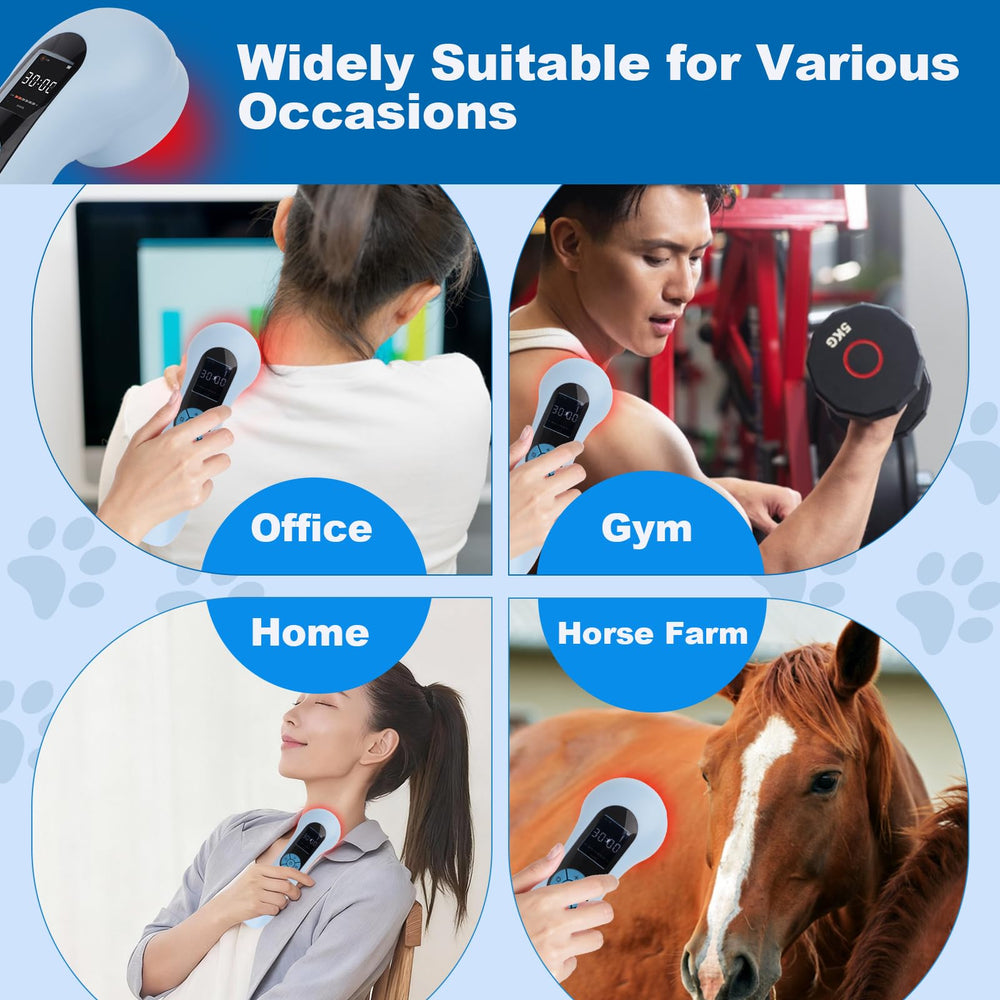 Ariysah home care scene shows convenient pet rehabilitation.
