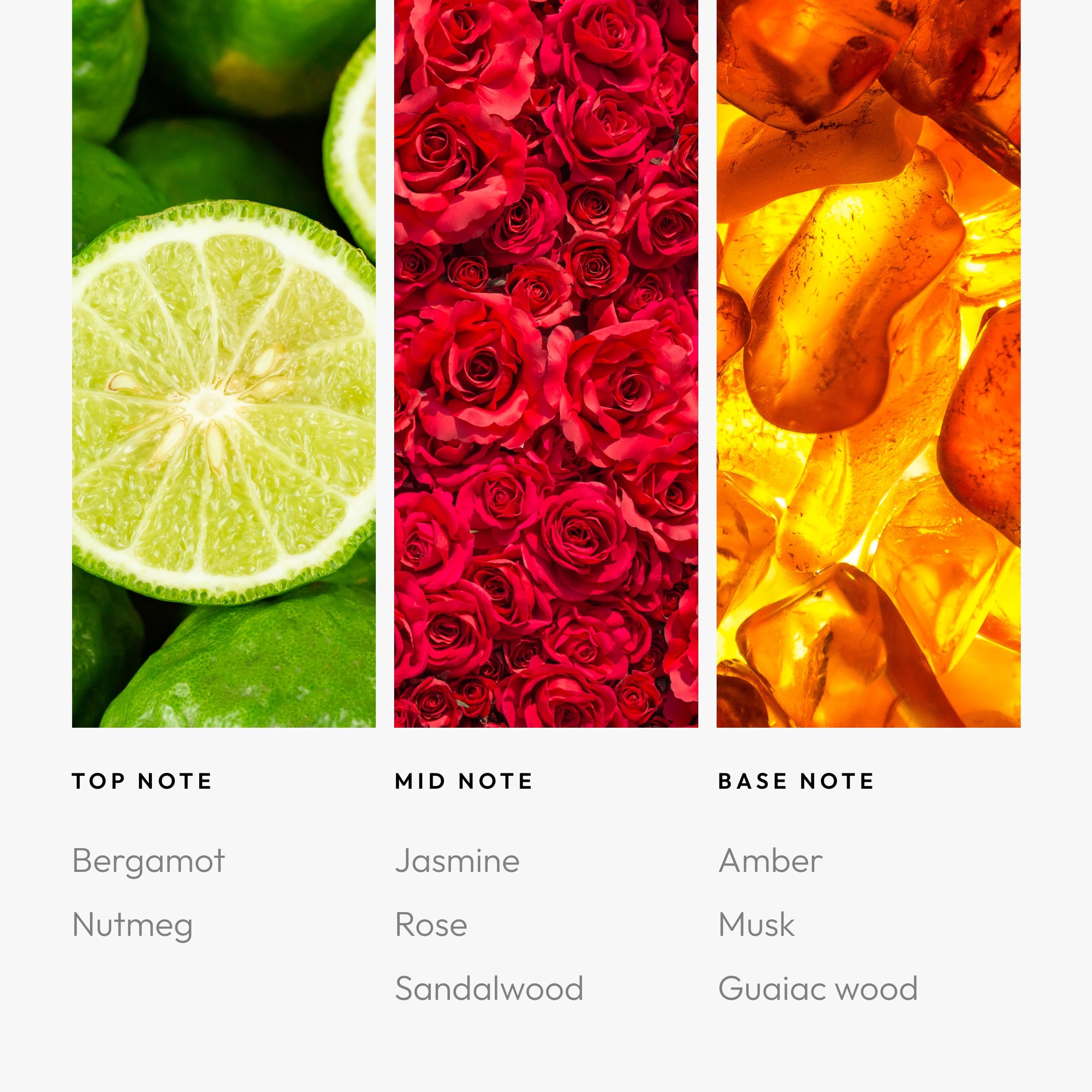 Aroma360 Daisy Duck top-note bergamot adds energizing brightness to rooms.