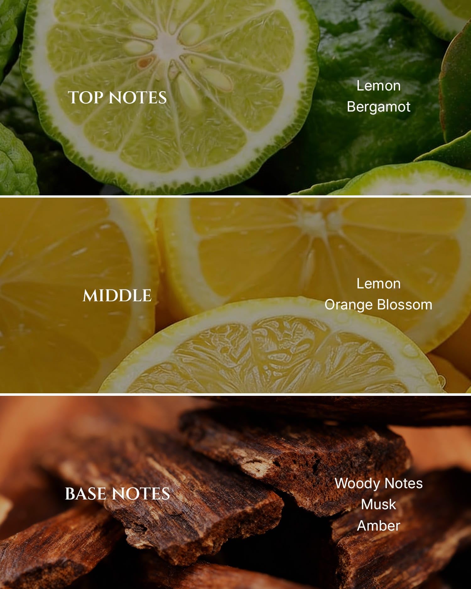 Aromadd Citrus Diffuser Oil in a diffuser setup delivering fresh citrus aroma throughout the room