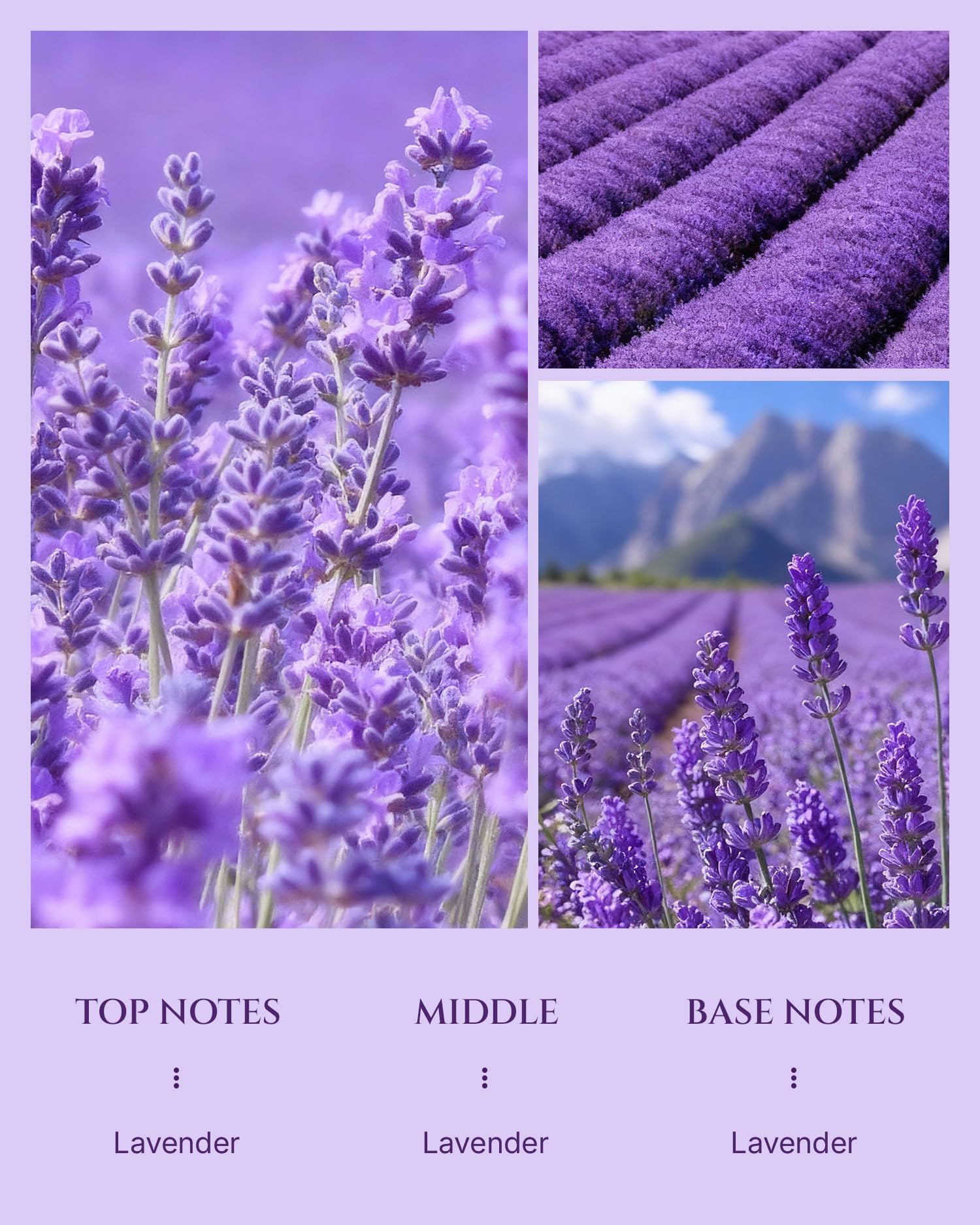 Aromadd Lavender diffuser oil label with diffuser usage guidance