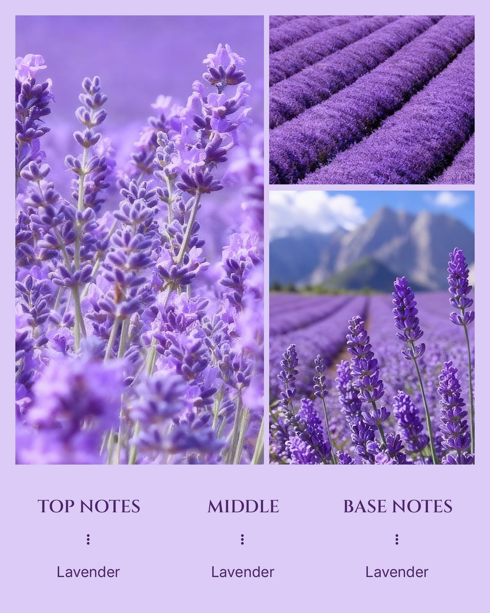 Aromadd Lavender diffuser oil label with diffuser usage guidance