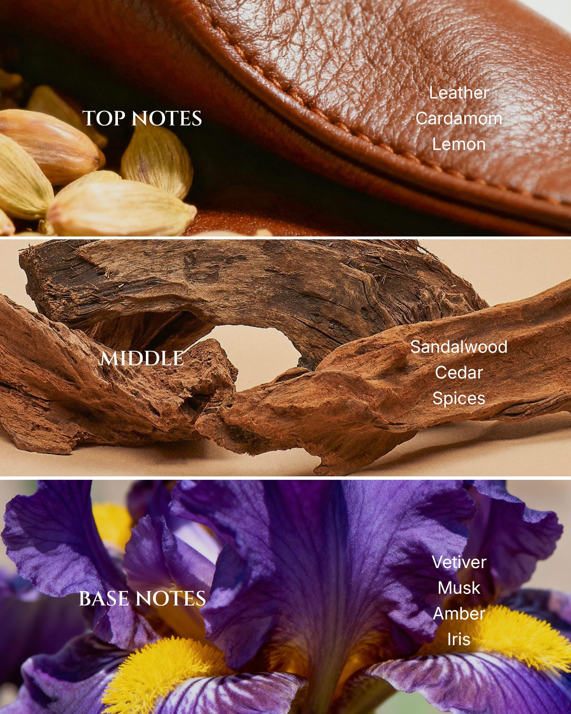 AROMADD Way Diffuser Oil label closeup highlighting premium fragrance