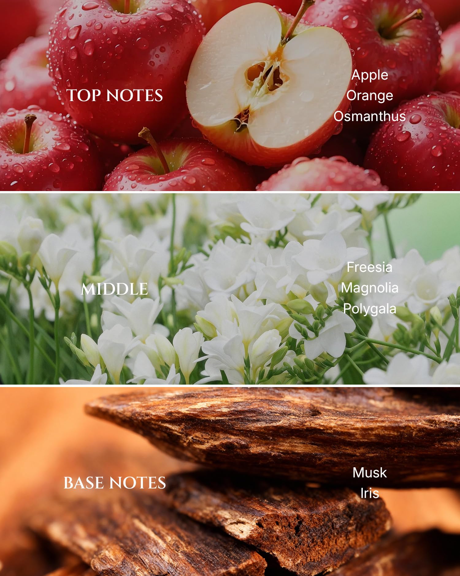 Closeup of Aromadd Years of Flowers fragrance notes featuring freesia and osmanthus