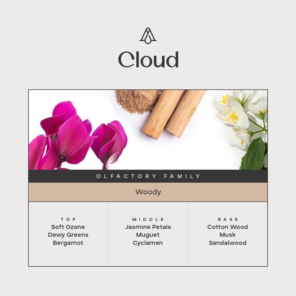 AROMAPLAN Cloud diffuser setup ideal for cold-air diffusers