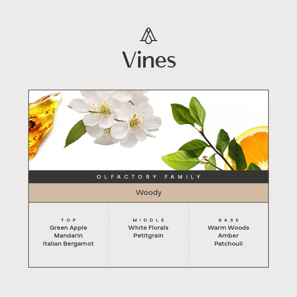 AROMAPLAN Vines bottle-closeup highlights premium oil clarity and rich color for a luxe display