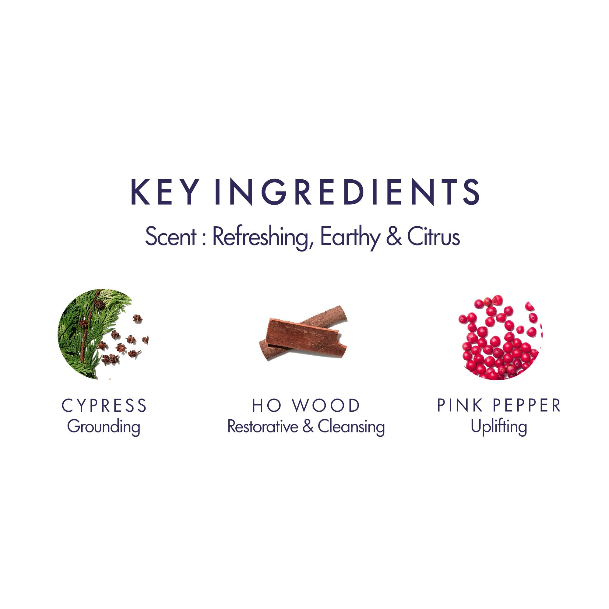 Aromatherapy Associates Forest Therapy glass bottle catches light, suggesting a premium, long-lasting aroma.