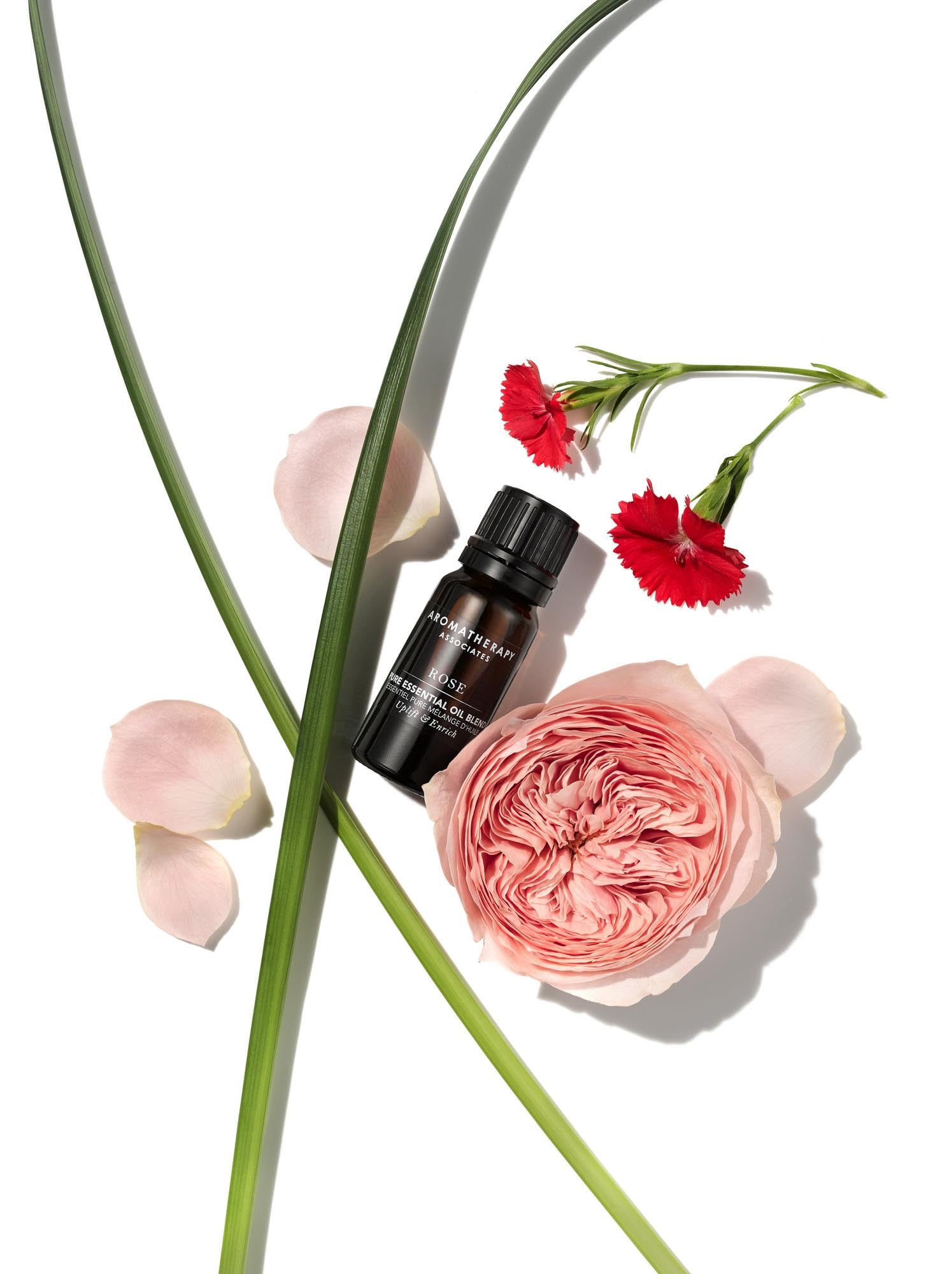 Aromatherapy Associates Rose Pure packaging emphasizes premium craftsmanship.