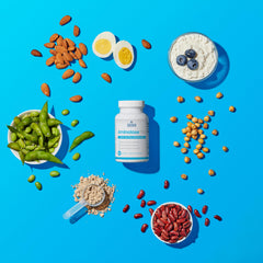 Protein absorption concept art illustrates optimized amino acids after meals.