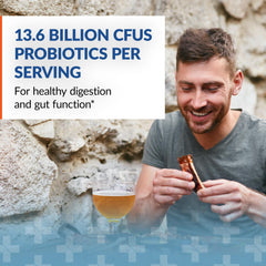 Arthur Andrew Medical Syntol probiotic strain close-up emphasizing spore-forming delivery to gut