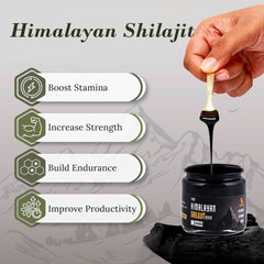 Aryan Surya Shilajit resin label highlights minerals and purity.