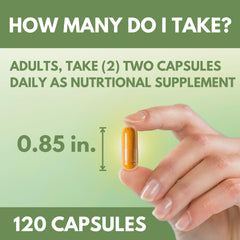 Arymar Diosmin Plus 900 hands holding the bottle for on-the-go routine