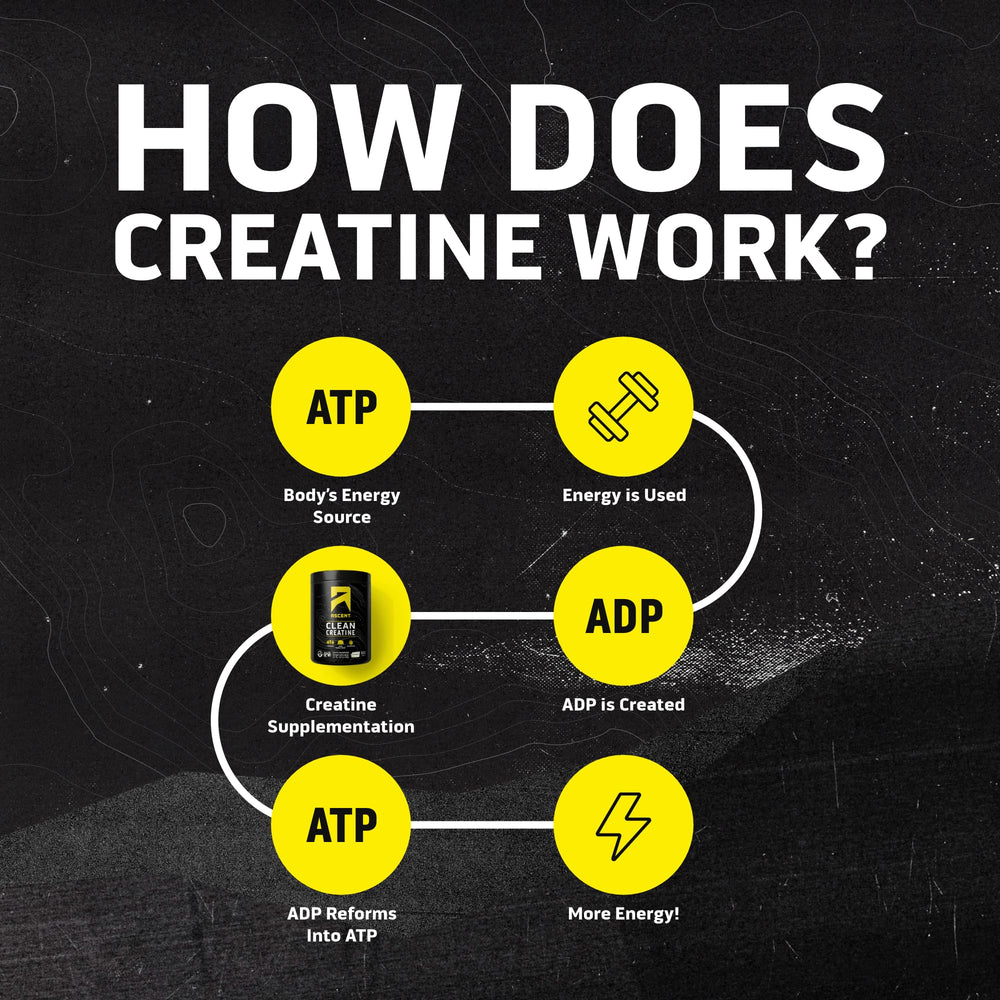Ascent Clean Creatine in a glass with smoothie for daily use