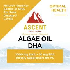 Ascent Nutrition 60 ml bottle close-up for a compact, travel-friendly omega-3.