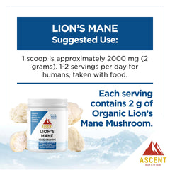 Ascent Nutrition Organic Lion's Mane powder made in the USA reflects careful cultivation