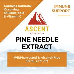 Ascent Nutrition Pine Needle Extract liquid in amber bottle promotes potency in beverages