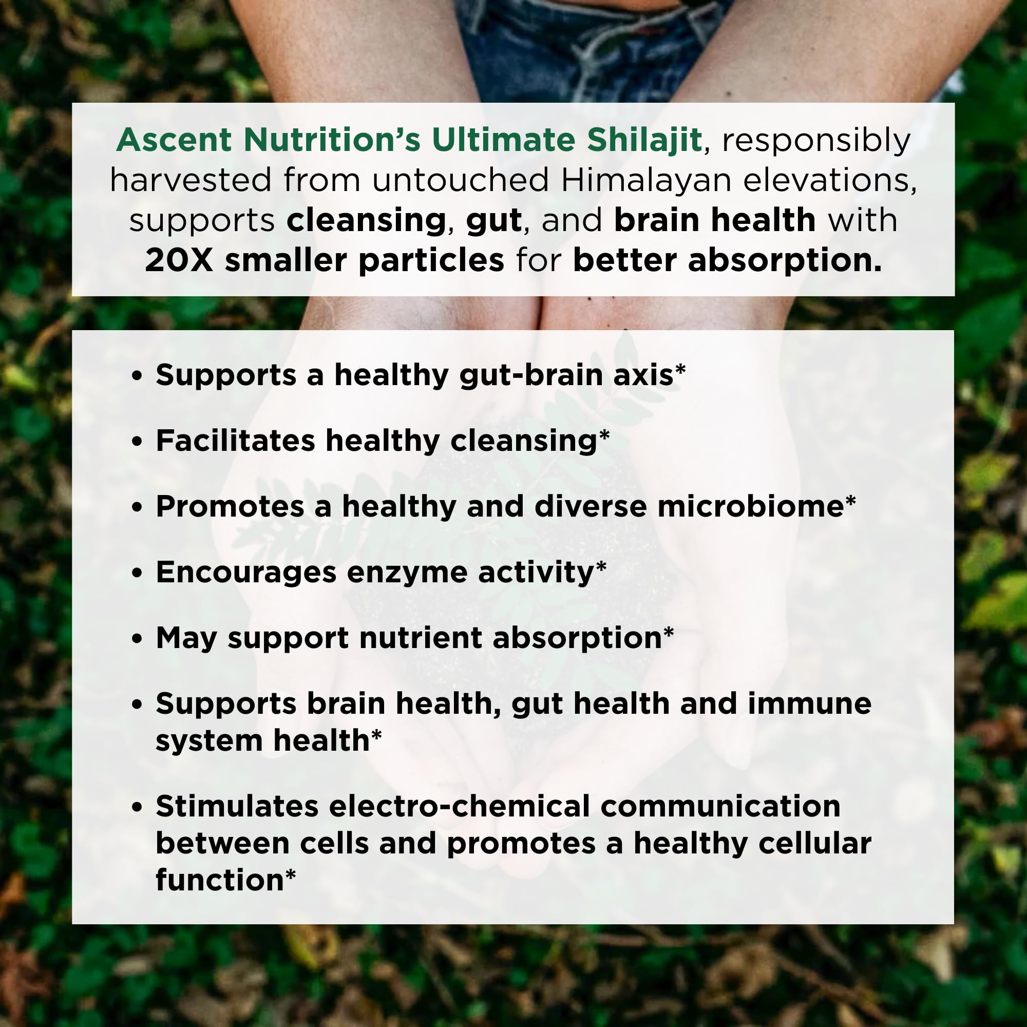 Ascent Nutrition Ultimate Shilajit capsules neutral background conveys compact, easy-to-swallow design
