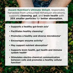 Ascent Nutrition Ultimate Shilajit capsules neutral background conveys compact, easy-to-swallow design