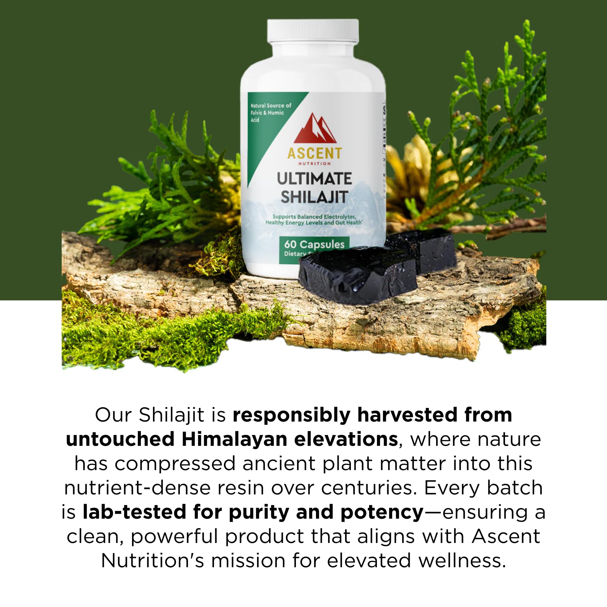 Ascent Nutrition Ultimate Shilajit capsules on shelf suggest a simple daily ritual