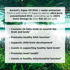 Ascent Nutrition water-extraction process highlighting pure algae-derived DHA and EPA.