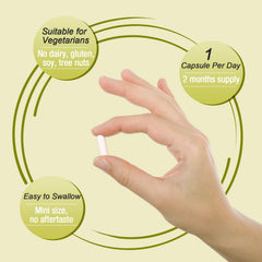 Ascuoli Probiotics 120-day supply supports ongoing gut health.