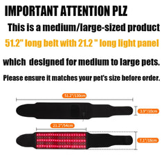 Asenei belt settings demonstrated with adjustable brightness for different pet needs.