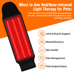 Asenei dual-wavelength therapy panels penetrate deeper for comprehensive treatment.