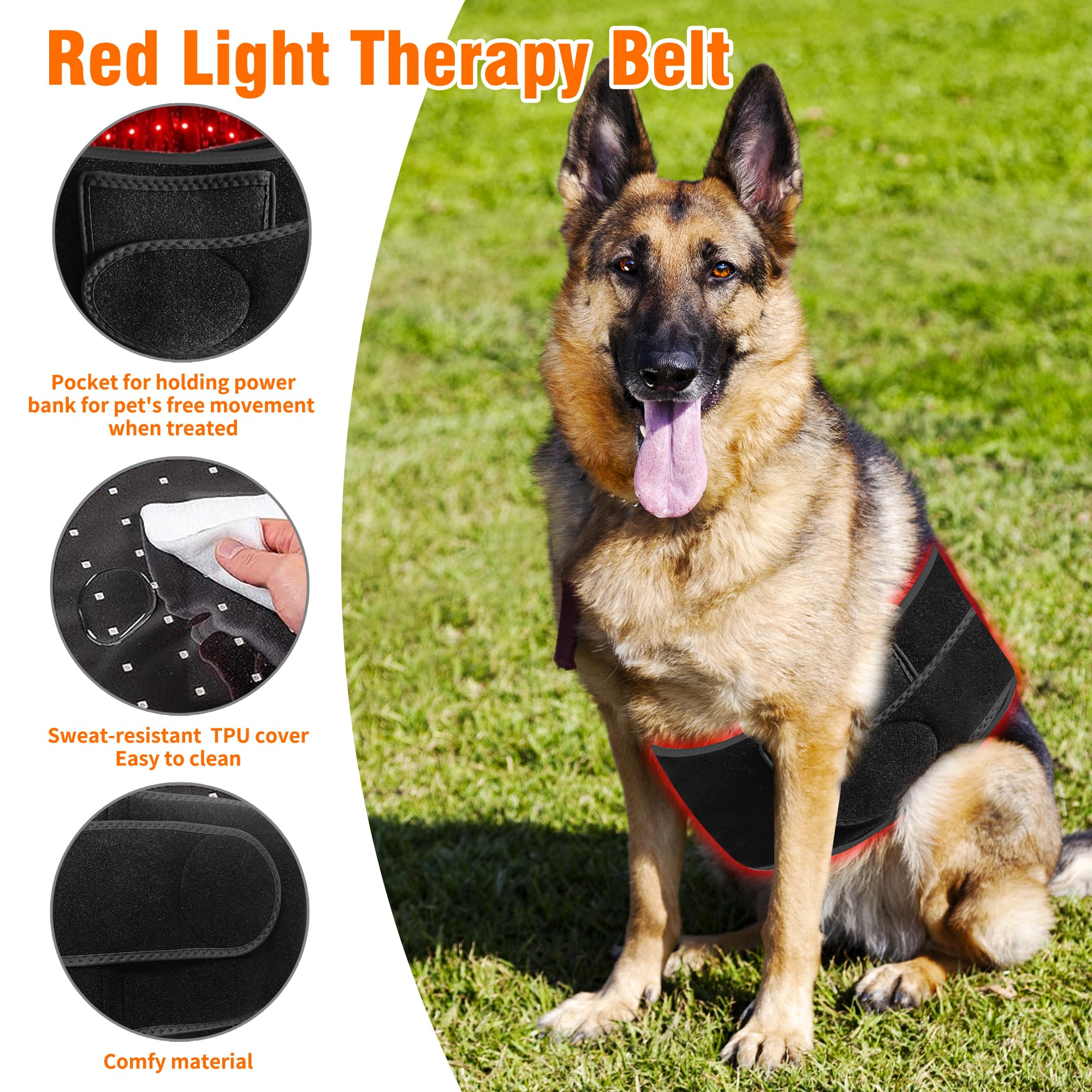 Asenei portable red light therapy belt used outdoors for on-the-go pets.