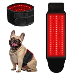 Asenei red light belt on a dog for at-home pain relief.