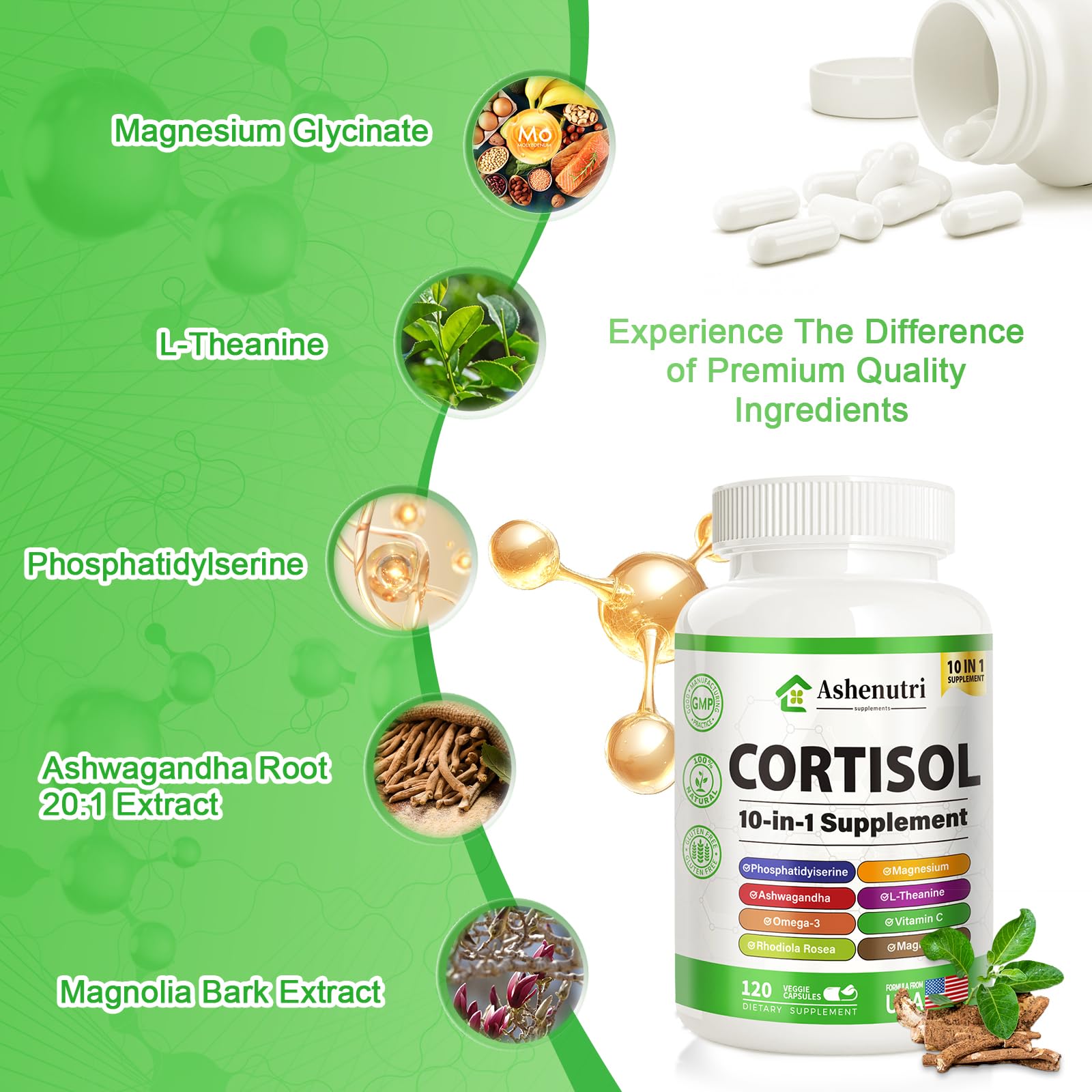 Ashenutri Ashwagandha 20:1 extract capsule highlights adaptogenic potential
