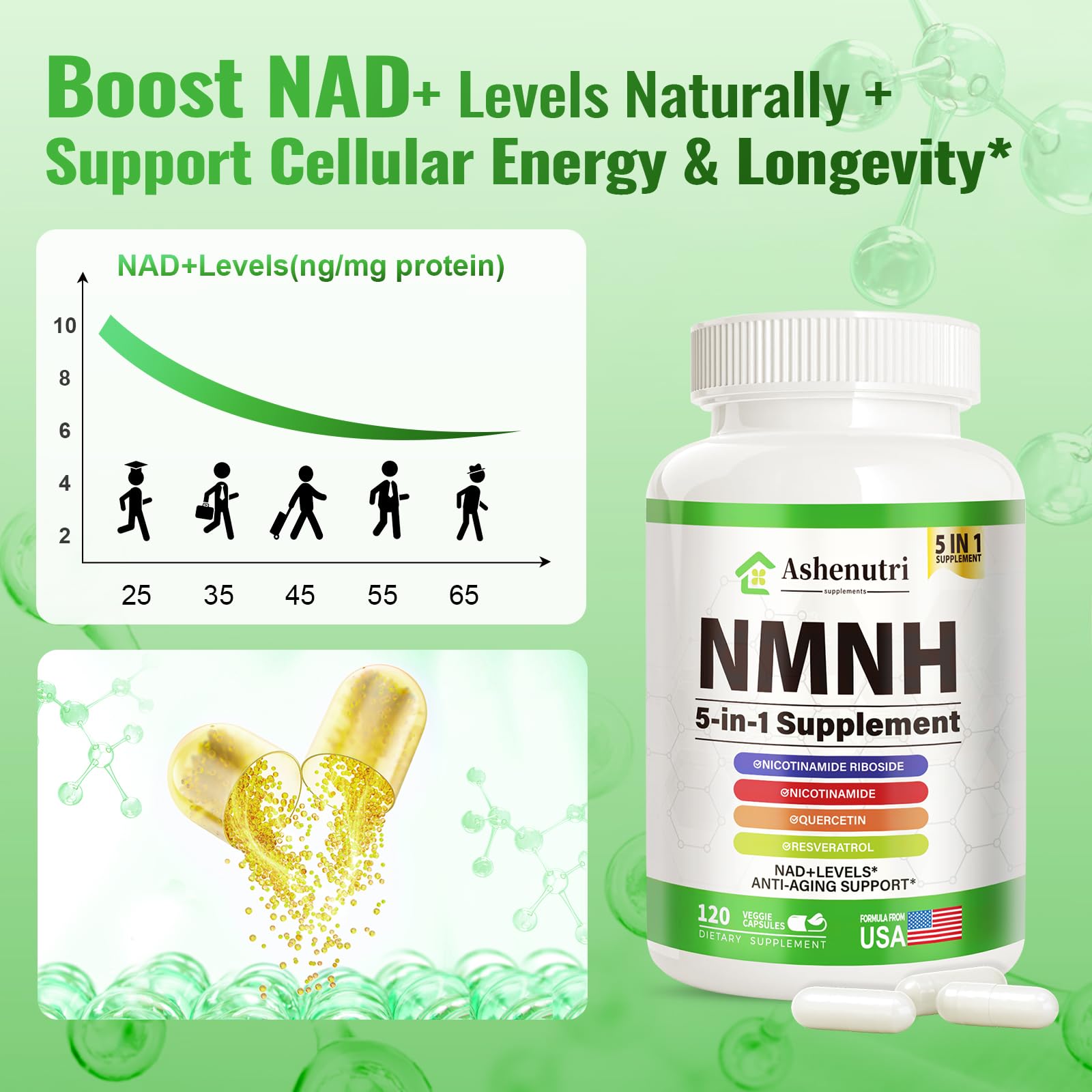 Ashenutri NMNH with niacinamide label detail for flush-free B3 support.