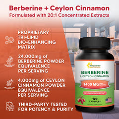 aSquared Ceylon Cinnamon 20:1 extract close-up on label for antioxidant-rich formulation.