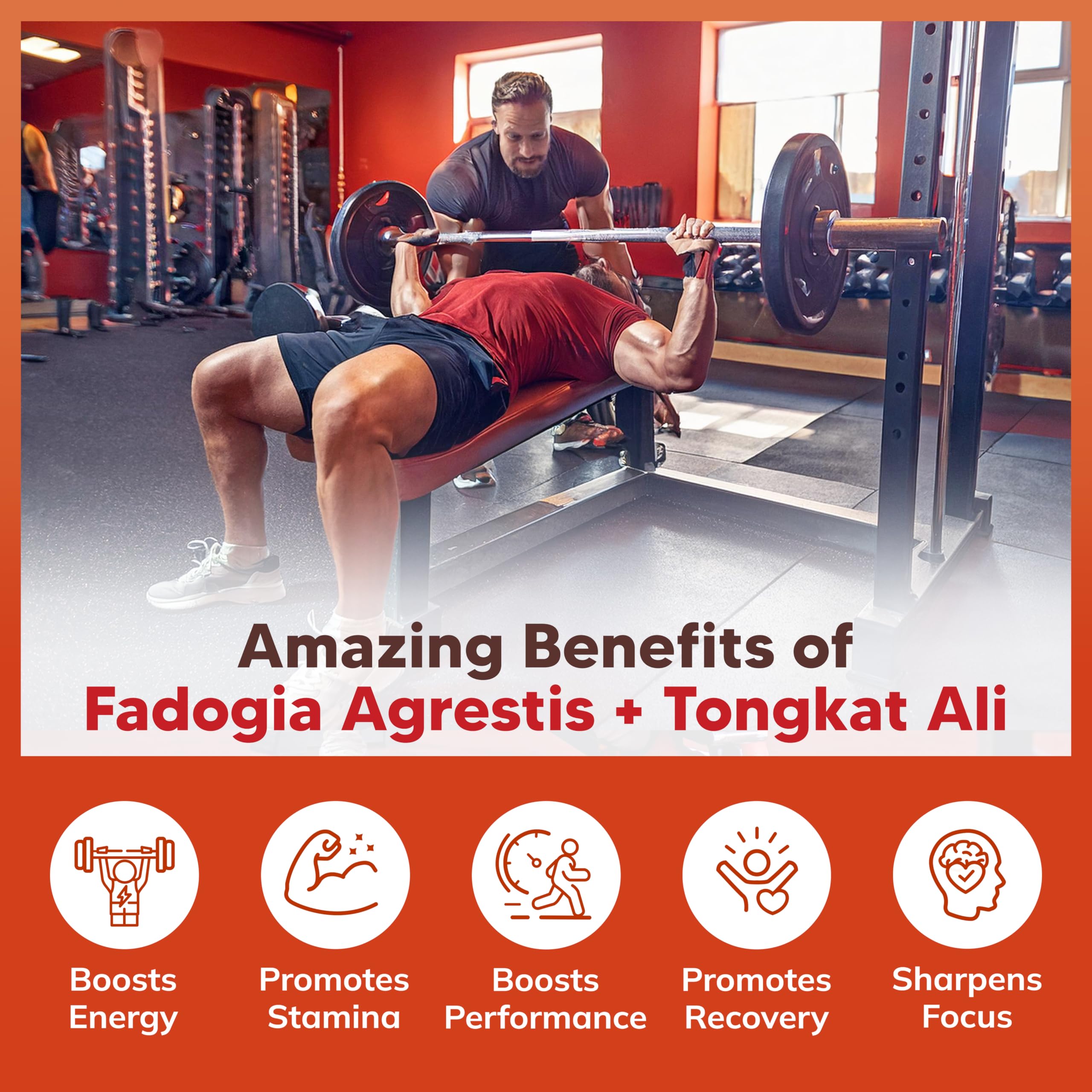 aSquared Nutrition Fadogia Tongkat capsules label close-up with key ingredients and mg per serving